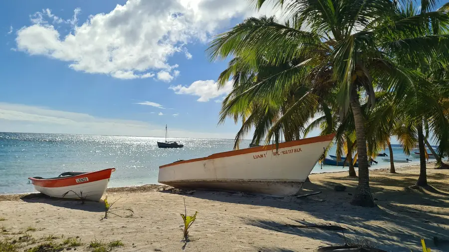Wooden boats on the sand beneath palms on Isla Saona