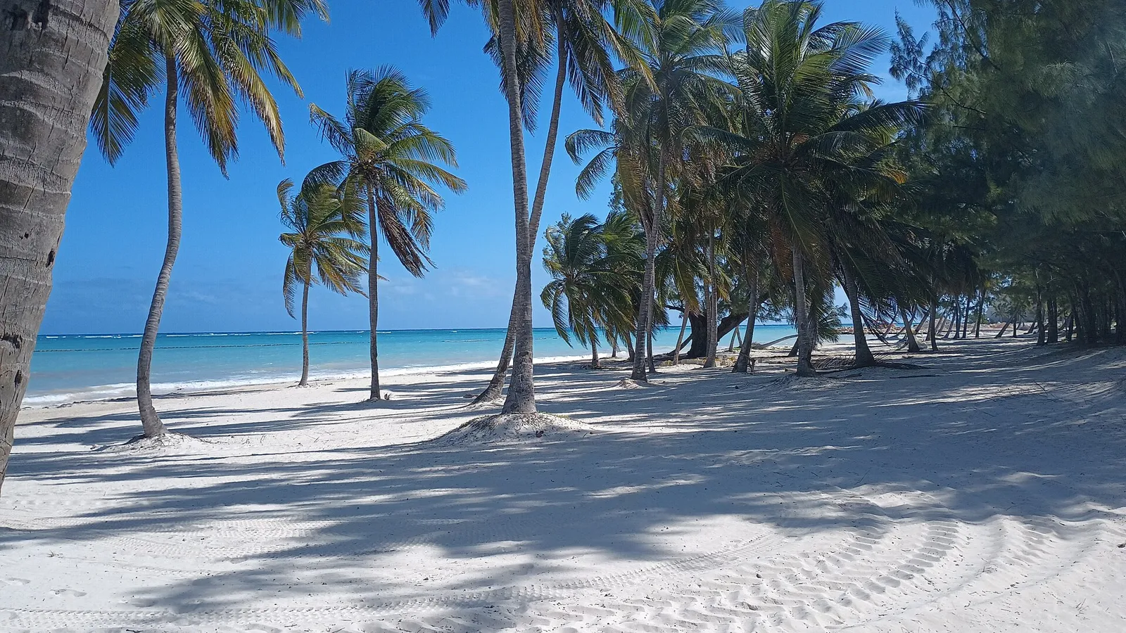 Playa cerca de Sanctuary Cap Cana