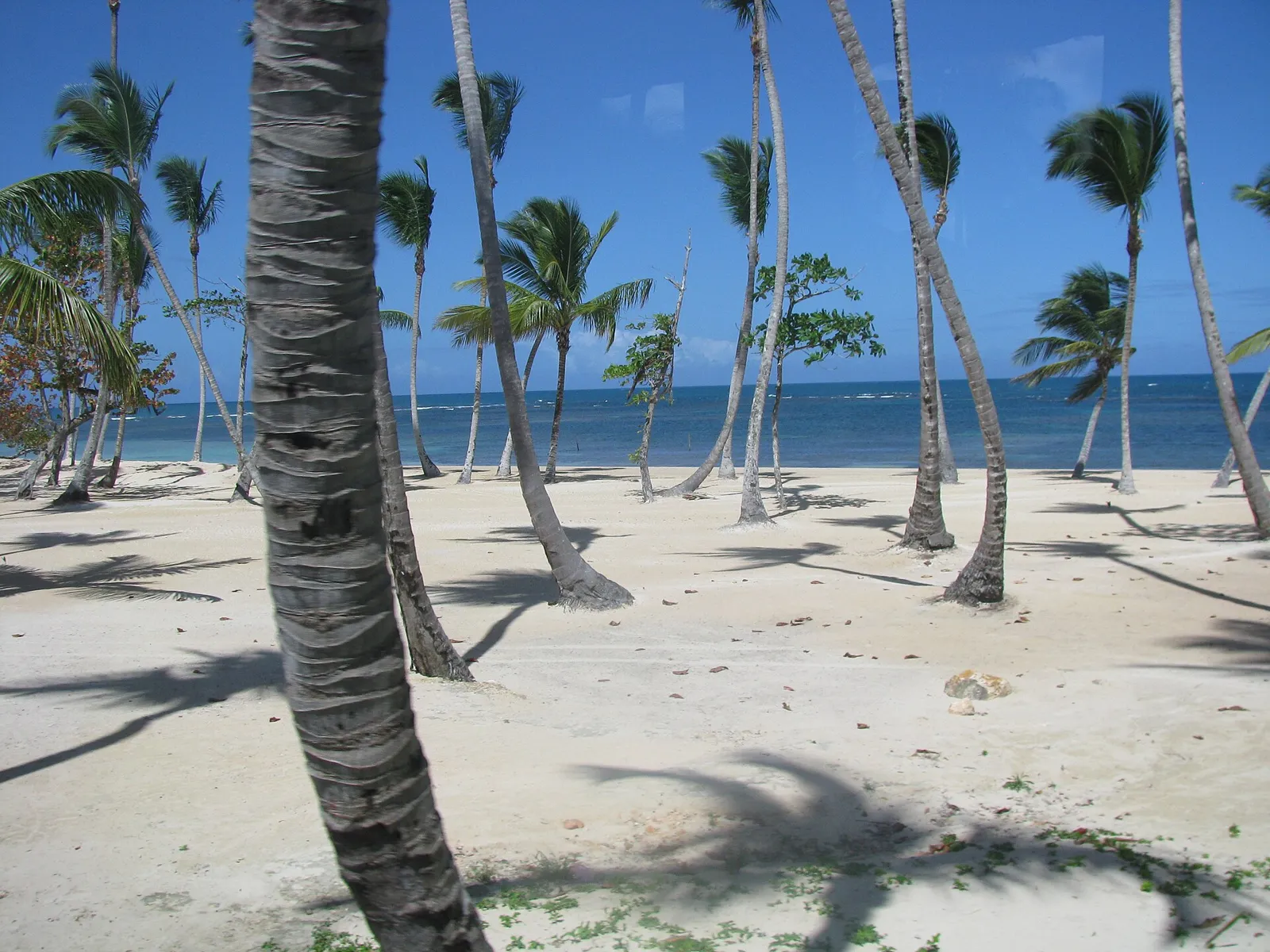 Playa de Las Terrenas, Samaná