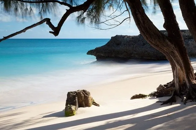 Andrés Tours – El Andariego de Las Galeras (Andrés Pérez)