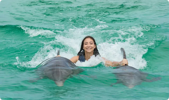 Dolphin Island Park