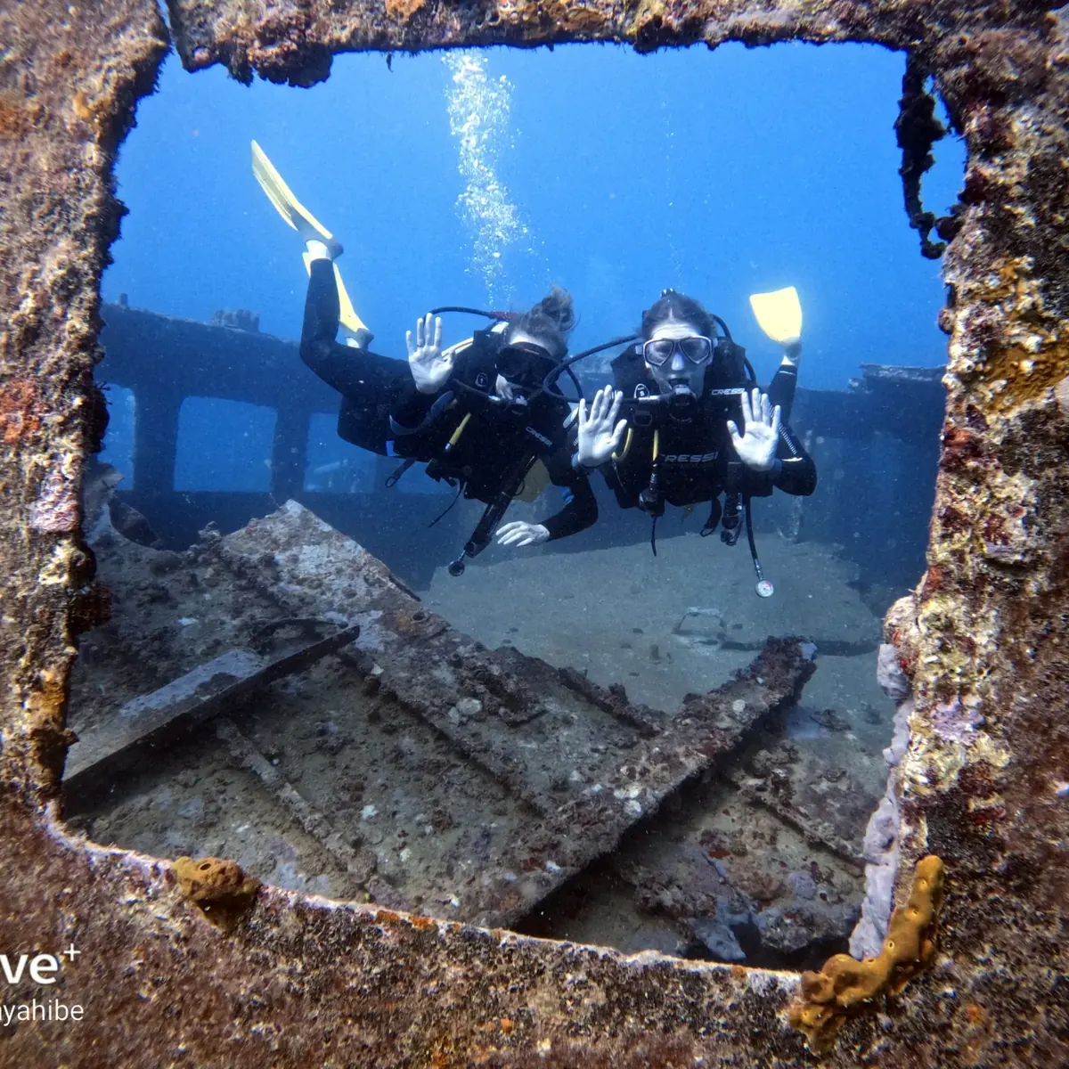 Go Dive Bayahibe