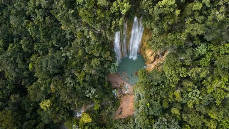 Samaná Excursions
