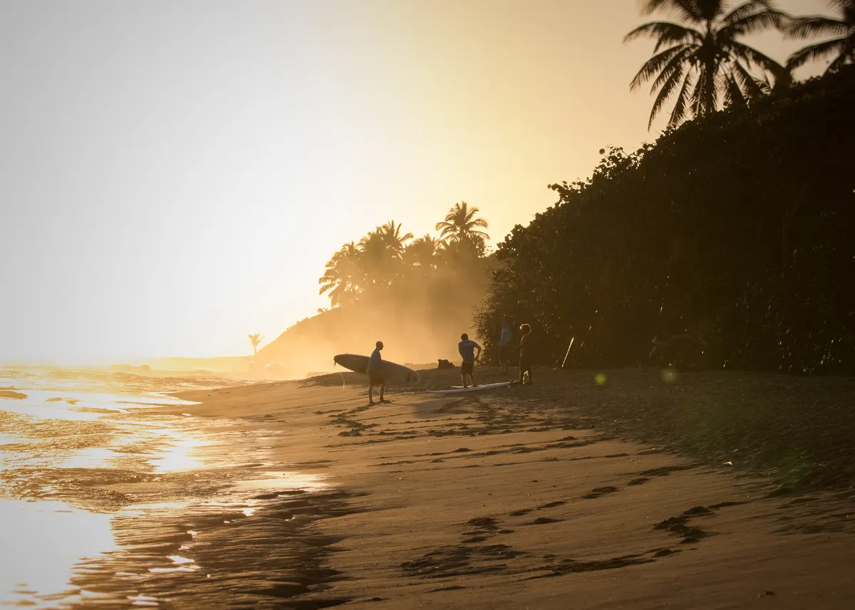 Swell Surf Camp