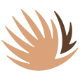 Tortuga Bay logo