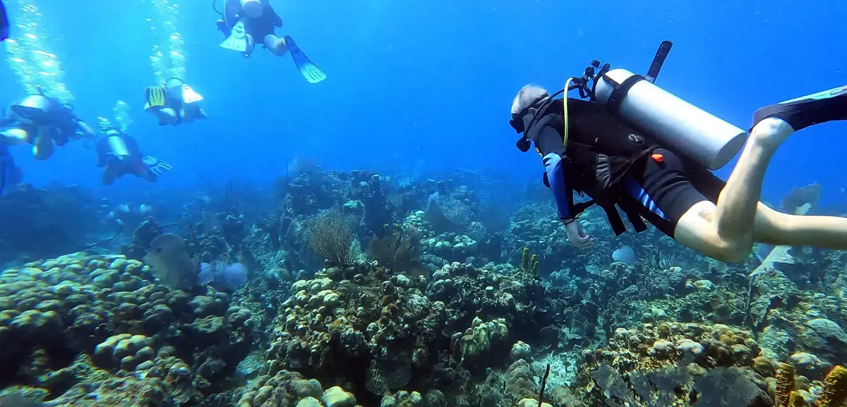 Ultra Marine Divers