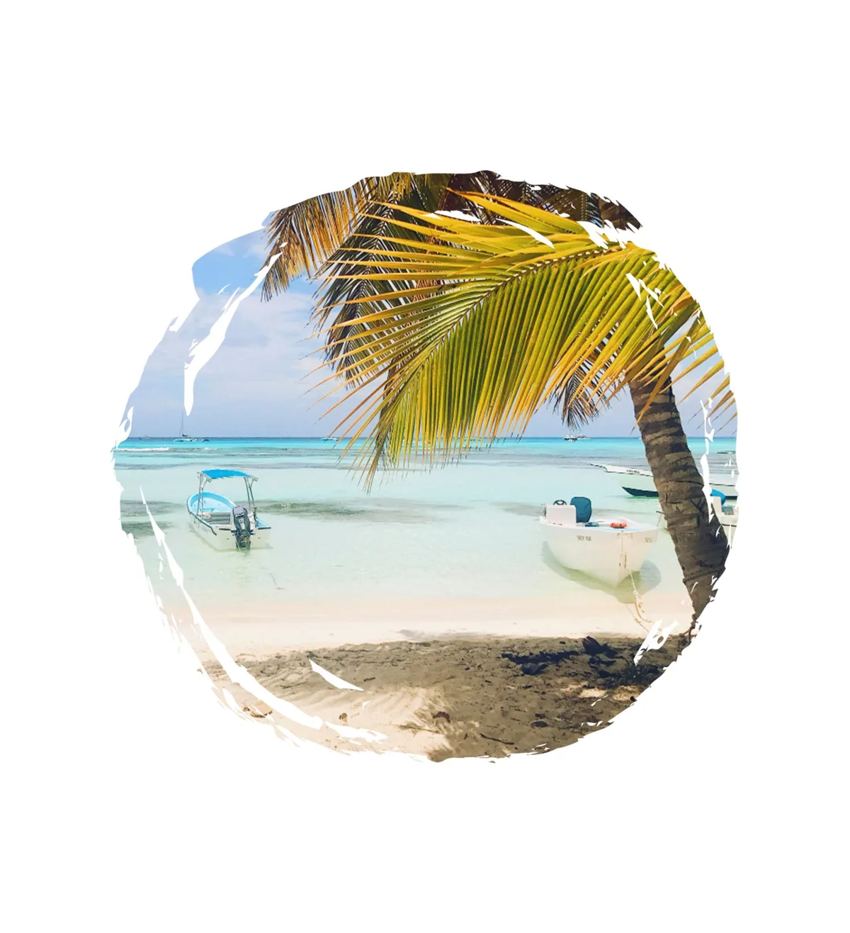 Vive Saona
